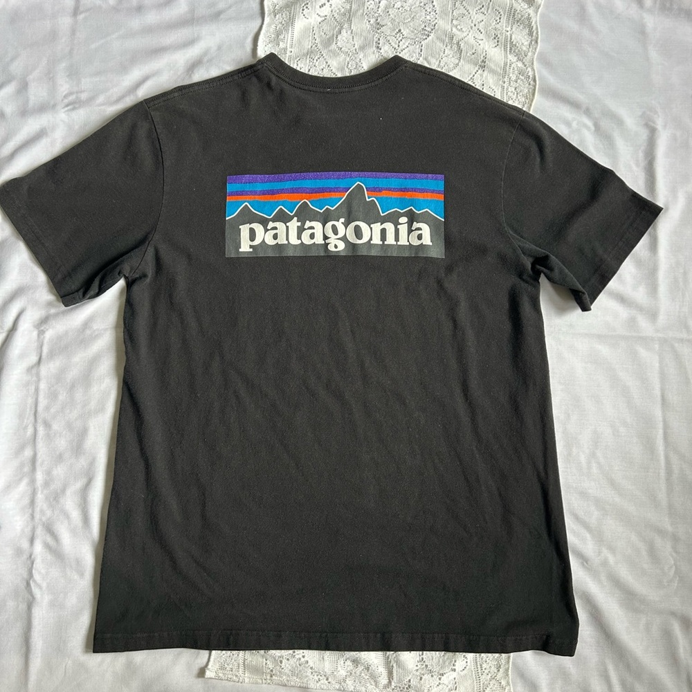 SOLD Patagonia tee